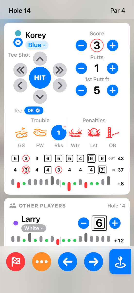 Hole scoring view